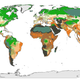 Illustration for article titled This map shows the regions of Earth most vulnerable to climate change